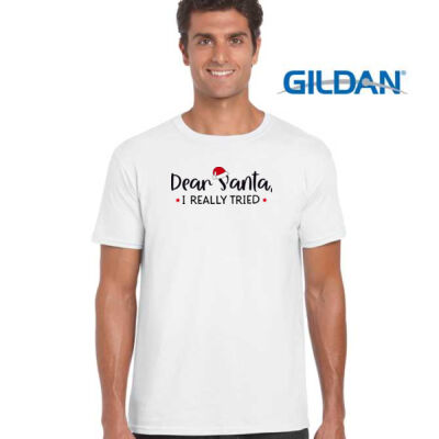 Dear Santa I really tried Thumbnail